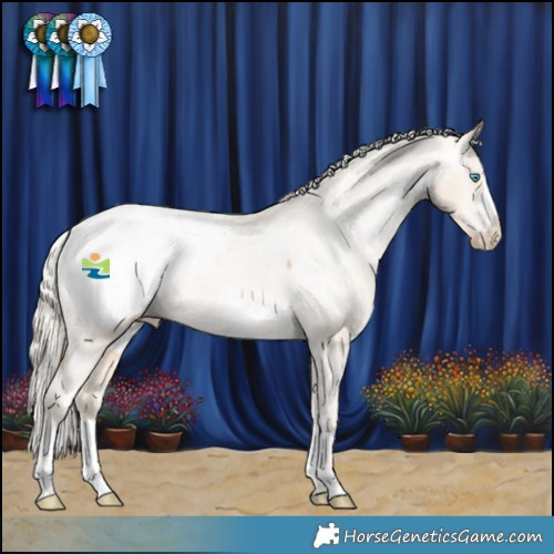 Horse Color:Palomino Pearl Appaloosa 