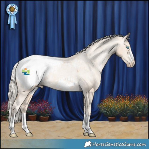 Horse Color:Palomino Pearl Appaloosa 