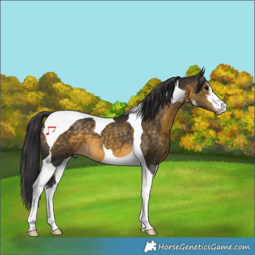 Horse Color:White Spotted Buckskin Tobiano 