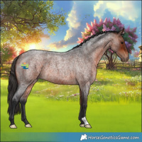 Horse Color:Bay Roan 