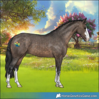 Horse Color:White Spotted Brown Dun Appaloosa 