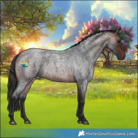 Horse Color:Brown Roan 