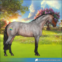 Horse Color:Brown Roan 