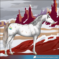Horse Color:White Spotted Chestnut Sabino 