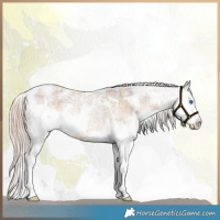 Horse Color:Plaid  White Spotted Chocolate Palomino Ice Roan Splash 