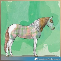 Horse Color:Watercolor Plaid  Liver Red Dun Ice Tobiano Brindle 