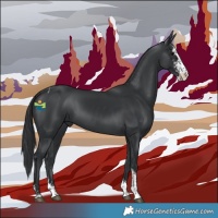 Horse Color:Black Sabino Tobiano