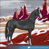 Horse Color:Black Sabino Tobiano