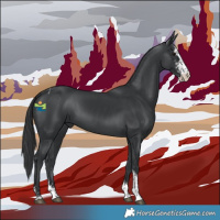 Horse Color:Black Sabino Tobiano 