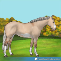 Horse Color:Silver Bay Dun Sabino Tobiano Frame Rabicano 