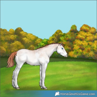 Horse Color:Sable Champagne Ice Pearl Onyx Splash 