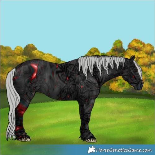 Horse Color:ERROR: UNKNOWN ANOMALY