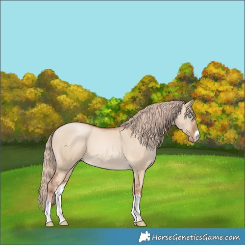 Horse Color:White Spotted Palomino Pearl Dun 