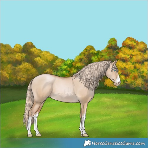 Horse Color:White Spotted Palomino Pearl Dun 