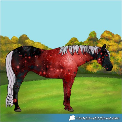 Horse Color:ERROR: UNKNOWN ANOMALY