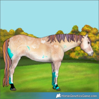 Horse Color:Painted Red Onyx Ice 