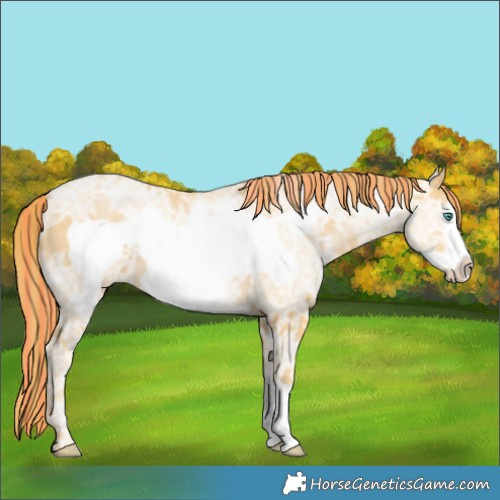 Horse Color:Painted Smoky Black Ice Pearl Frame