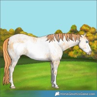 Horse Color:Painted Smoky Black Ice Pearl Frame 