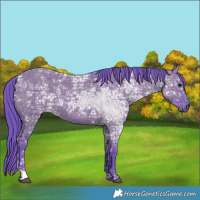 Horse Color:Watercolor Grullo Ice 