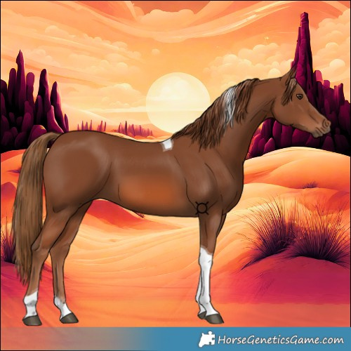 Horse Color:Chestnut Tobiano 