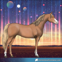 Horse Color:Chestnut Sabino
