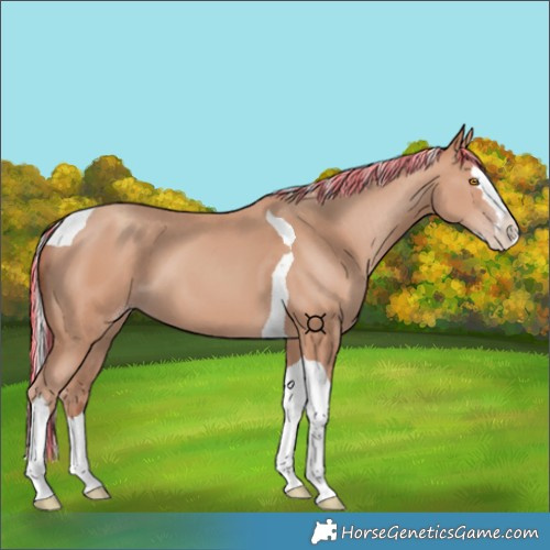Horse Color:Painted Silver Classic Champagne Splash Tobiano 