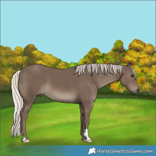Horse Color:Silver Black 