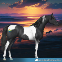 Horse Color:Black Tobiano Rabicano 