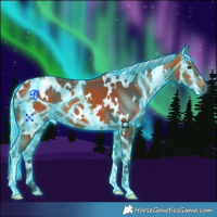 Horse Color:Thunderstruck White Spotted Silver Bay 