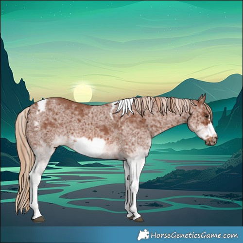 Horse Color:White Spotted Chestnut Tobiano Frame 