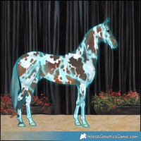 Horse Color:Thunderstruck White Spotted Bay 