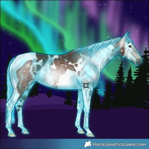 Horse Color:Gray Thunderstruck White Spotted Silver Bay Tobiano