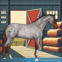 Horse Color:Liver Red Roan Rabicano 