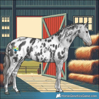 Horse Color:White Spotted Black Mushroom Sabino Appaloosa 