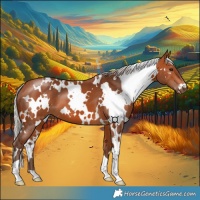 Horse Color:White Spotted Silver Bay 