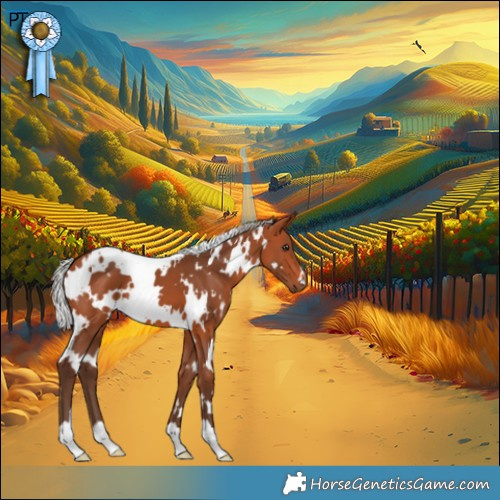 Horse Color:White Spotted Silver Bay 
