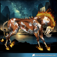 Horse Color:White Spotted Silver Bay