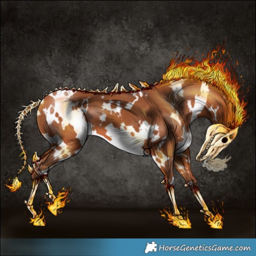 Horse Color:White Spotted Silver Bay 