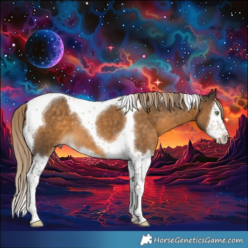 Horse Color:Chocolate Palomino Splash Tobiano 