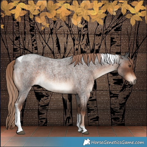 Horse Color:Liver Red Roan Tobiano 