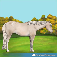 Horse Color:Chocolate Palomino Pearl Varnish