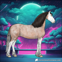 Horse Color:Bay Roan Splash 