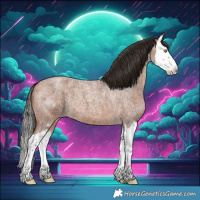 Horse Color:Bay Roan Splash 