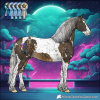 Horse Color:White Spotted Silver Buckskin Splash Tobiano