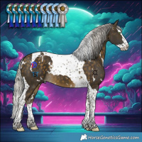 Horse Color:White Spotted Silver Buckskin Splash Tobiano 