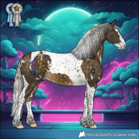 Horse Color:White Spotted Silver Buckskin Splash Tobiano 