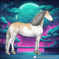 Horse Color:Gray Silver Buckskin Splash Rabicano