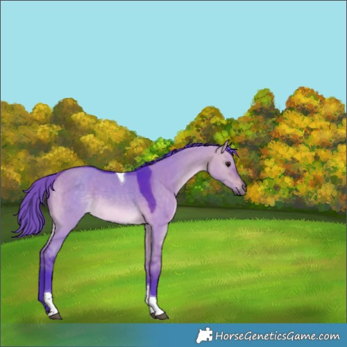 Horse Color:Watercolor Brown Dun Tobiano Rabicano 