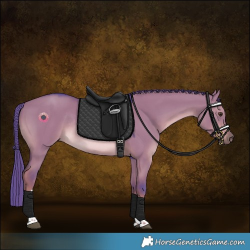 Horse Color:Watercolor Liver Red Dun Tobiano Rabicano 