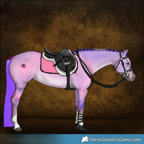 Horse Color:Watercolor Liver Red Dun Tobiano Rabicano